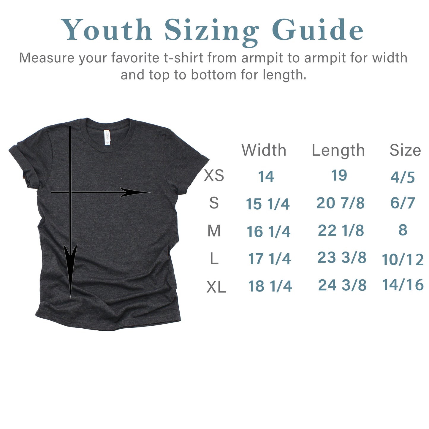 Youth and Adult Swiftie Graphic T-shirt