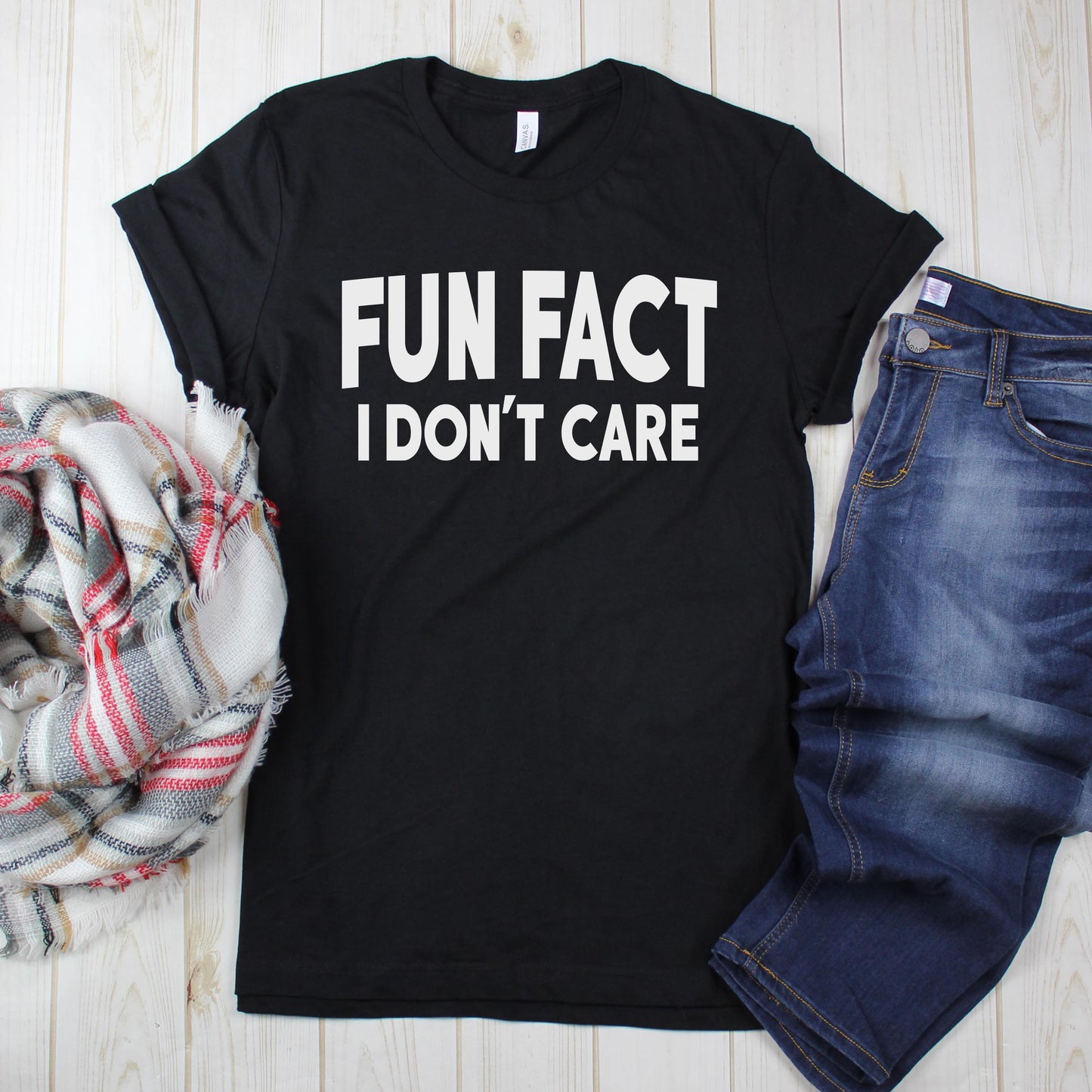 Fun Fact I Don't Care Graphic T-Shirt
